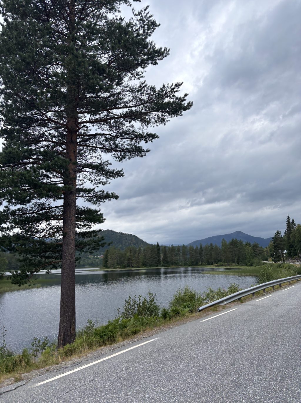 Mer backar i&nbsp;Norge